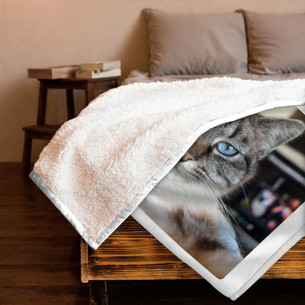 The Meow Times, The Dog Times, Troublemaker Of The Year Blanket - Personalized Blanket
