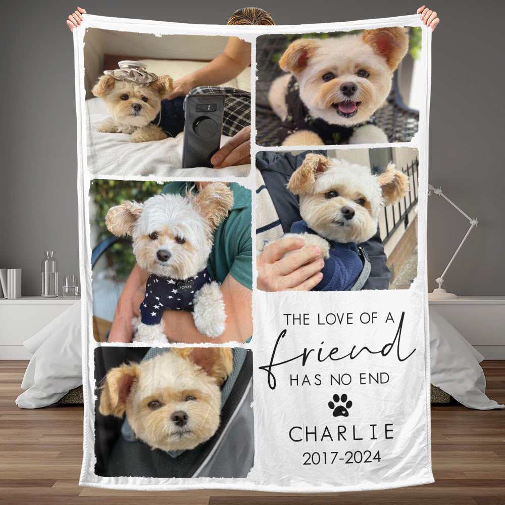 The Love Of A Friend Has No End - Personalized Blanket - Best Gift For Dog Lover, Cat Owner - Giftago
