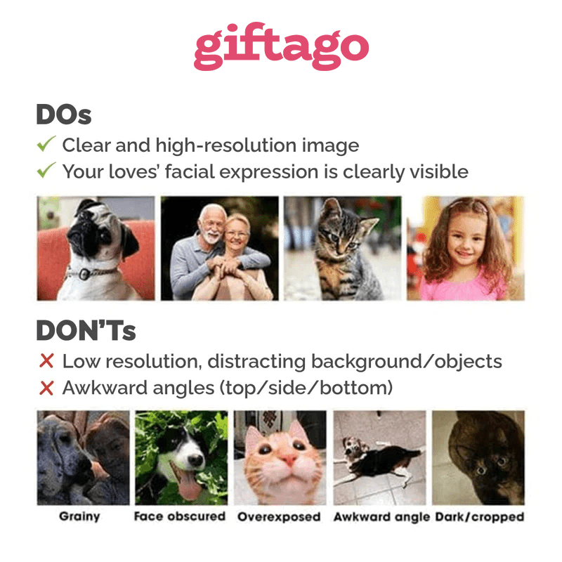 Pet Memorial Photo (Version 2) - Personalized Blanket - Best Gift For Pet Lovers - Giftago