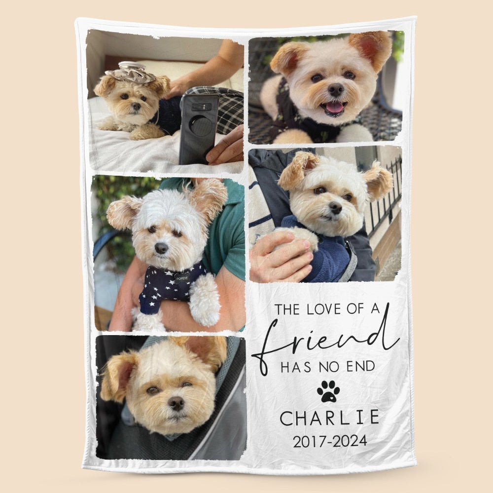 The Love Of A Friend Has No End - Personalized Blanket - Best Gift For Dog Lover, Cat Owner - Giftago