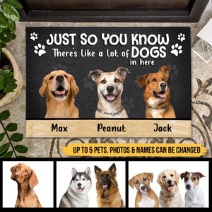 Just So You Know There's Like A Lot Of Pets In Here Doormat - Pet Lover Gift - Giftago
