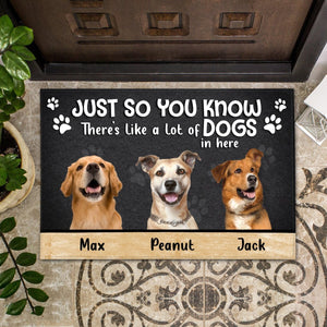 Just So You Know There's Like A Lot Of Pets In Here Doormat - Pet Lover Gift - Giftago