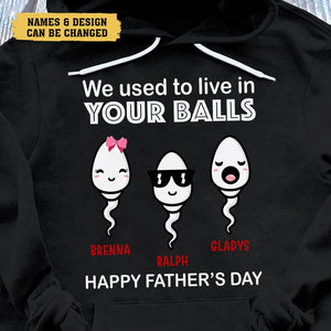 We Used To Live In Your Balls - Personalized T-Shirt/ Hoodie - Best Gift For Father - Giftago